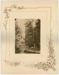 Rajca, Vieraščaka. Райца, Верашчака (T. Boretti, 1894) (5)