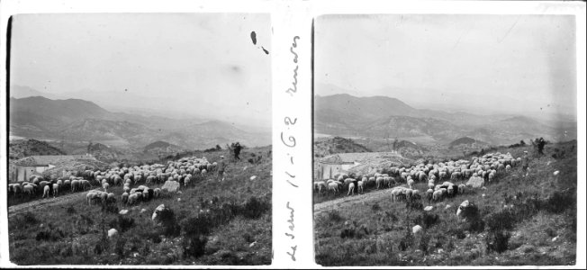 Ramat de bens d'en Vilanova a la Salut