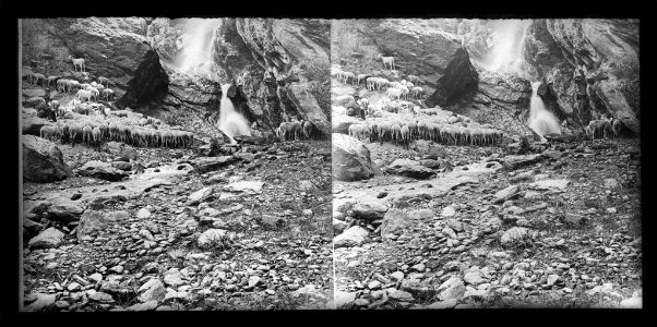 Ramat de cabres i un pastor vora una cascada al barranc de Runi