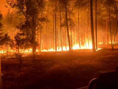 Rafael Fire, Arizona