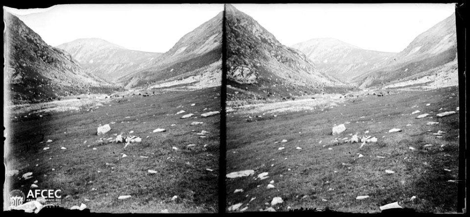 Pla amb animals pasturant i al fons el Bastiments