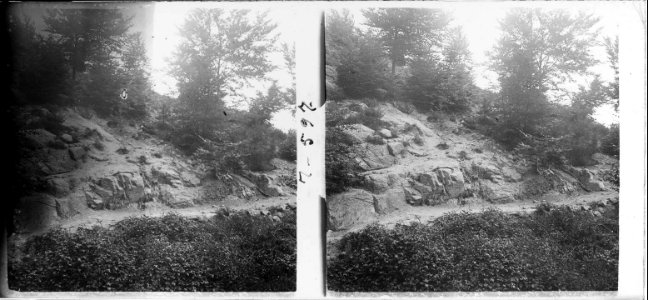 Racó al camí de Santa Fe de Montseny
