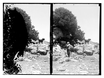 Place of sacrifice-Carmel LOC matpc.11412