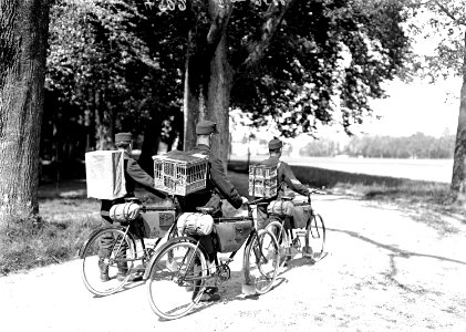 Radfahrerpatrouille mit Brieftauben am Rücken - CH-BAR - 3240465