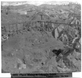 Placer Mining in Columbia Gulch, Tuolumne County- The Mine LCCN2002723043