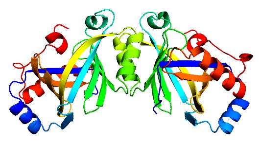 Plague Enzyme Structure (5880495581)