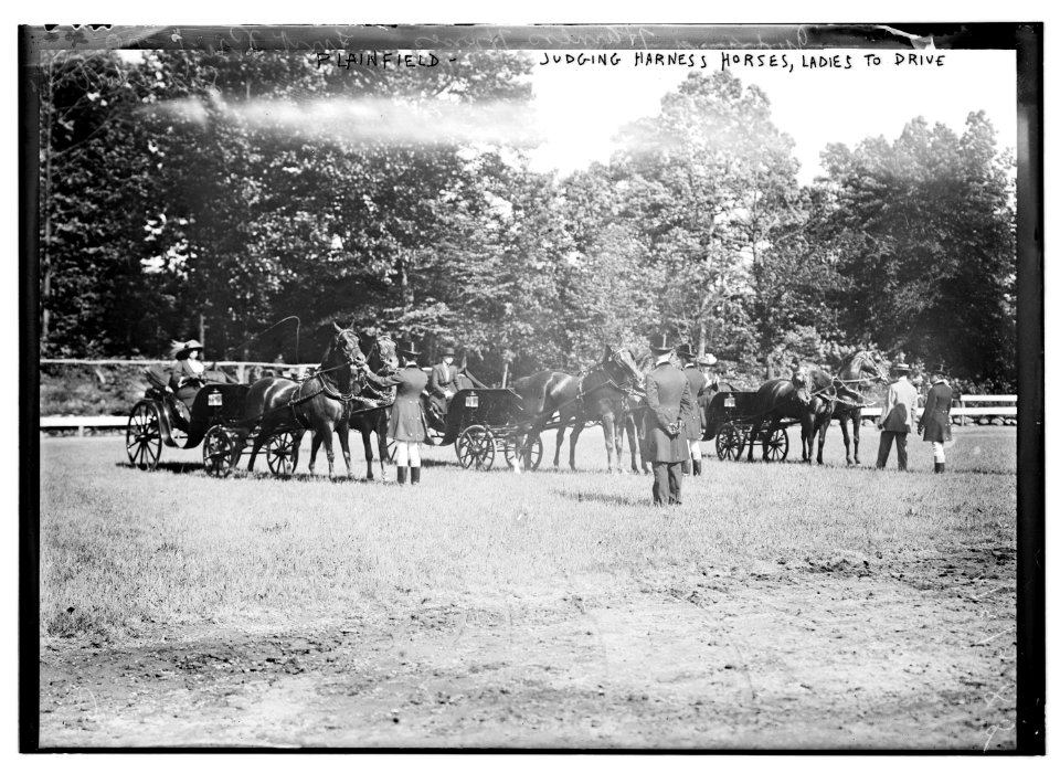Plainfield, Judging Harness Horses, Ladies to drive LCCN2014689299