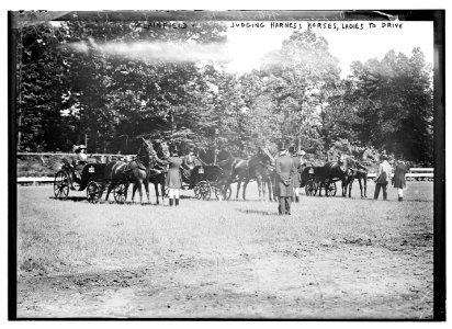 Plainfield, Judging Harness Horses, Ladies to drive LCCN2014689299 photo