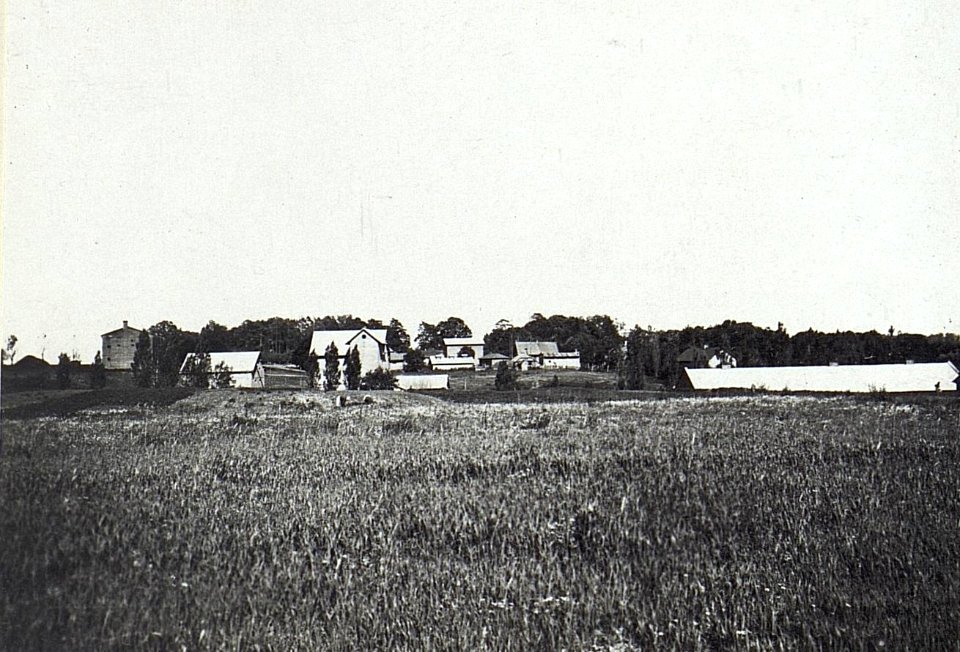 Radwiczy (BildID 15695399)