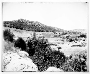 Place of sacrifice on Mt. Carmel LOC matpc.07206