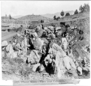 Placer Mines- View near Columbia, Tuolumne County LCCN2002717193