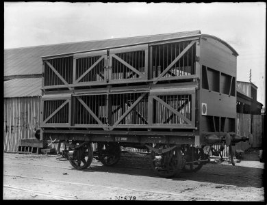 Railway sheep van SV8408 from The Powerhouse Museum