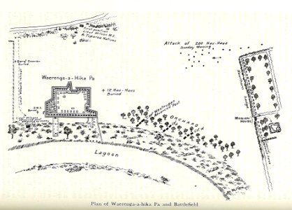 Plan of waerenga-a-hika pa and battlefield