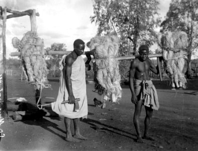 Raffiabärare. S-te Marie de Marovoay. Madagaskar - SMVK - 021969