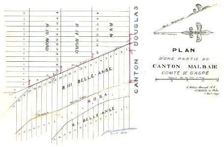 Plan d une partie du canton Malbaie. Comte de Gaspe