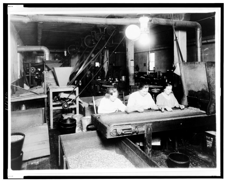 Plant of the Vegetarian Food and Nut Co. at 1339-41 South Capitol Street, Washington, D.C. LCCN2001695004