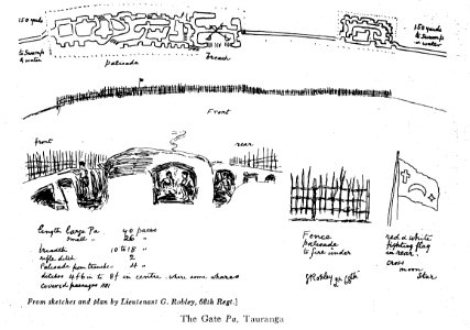 Plan of gate pa tauranga