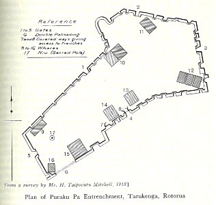 Plan of puraku pa entrenchment, tarukenga, rotorua