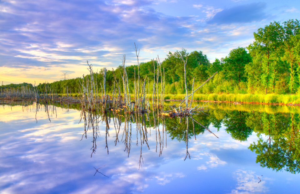 Scenic lake nature