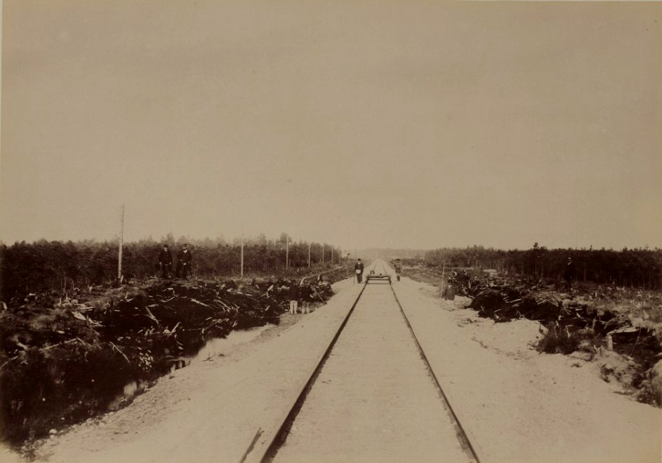 Railroad tracks through the Lasva Wetlands