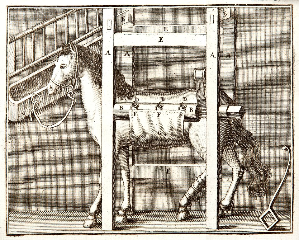 Plasch på häst från Boken Den uti fält helande häst-läkaren, tryckt 1774 - Skoklosters slott - 86163
