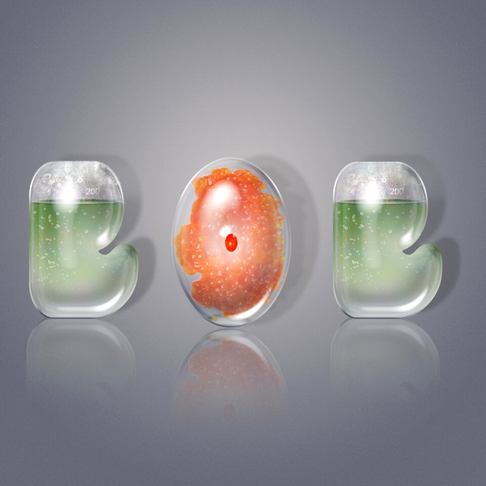 Food glass letters illustrator