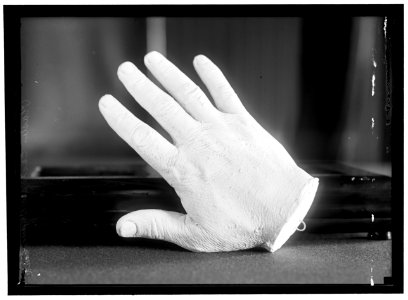 PLASTER CAST OF HAND OF BRYAN, WILLIAM JENNINGS. REP. FROM NEBRASKA, 1891-1895; SECRETARY OF STATE, 1913-1915 LCCN2016866488