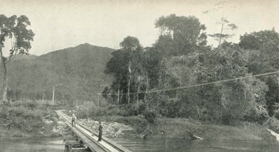 Railway bridge over Babinda Creek on the Cairns-Mulgrave Line. The range in the background is Bellenden-Ker