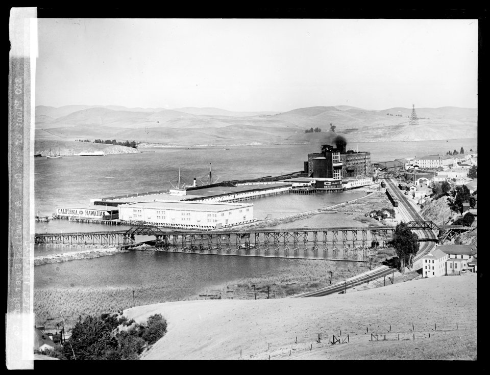 Plant of the Cal. & Hawaiian Sugar Ref. Co., Crockett, Cal. LCCN2016824521