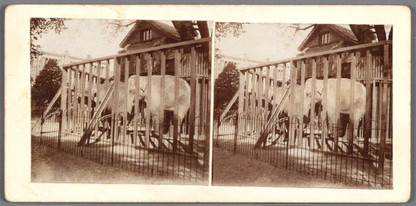 Plantage Kerklaan 40-003 - Maarten Benschop