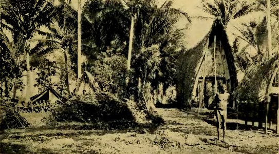 Plate II-Argonauts of the western Pacific 1922 (page 45 crop)