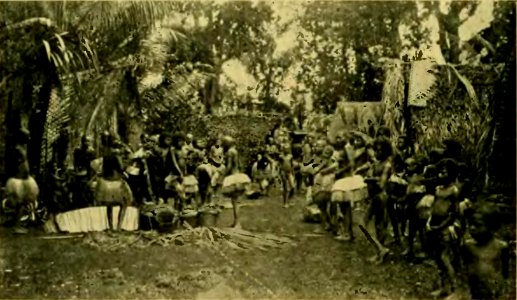Plate IV-Argonauts of the western Pacific 1922 (page 46 crop)