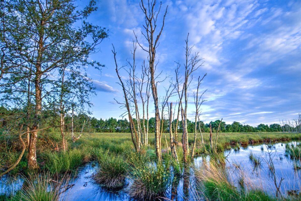 Scenic lake nature