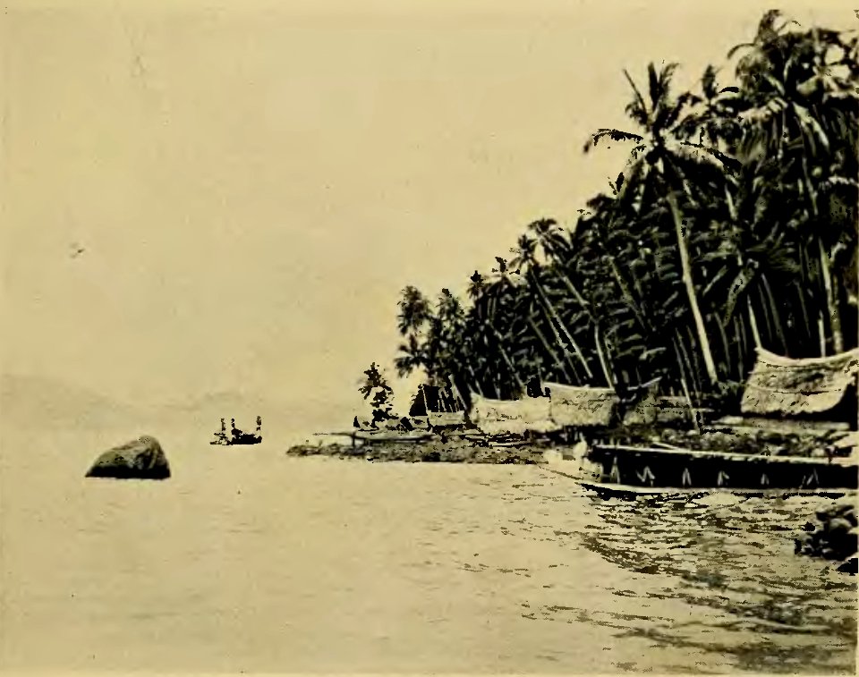 Plate VII - Argonauts of the western Pacific 1922 (page 89 crop)