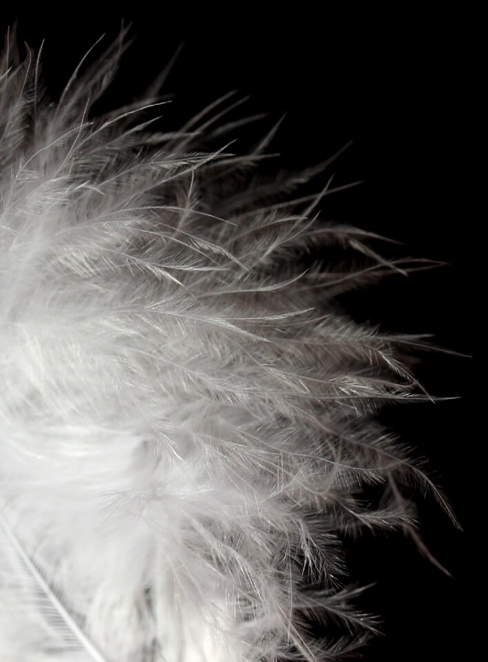 Snowflake white down