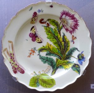 Plate with poppy and asparagus, Chelsea porcelain, c. 1755, soft-paste porcelain - California Palace of the Legion of Honor - San Francisco, CA - DSC02961