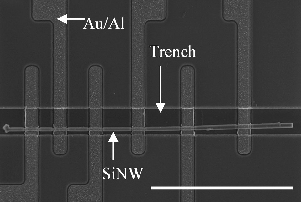 Placing Single Nanowires, NIST Makes the Connection (5887267647)