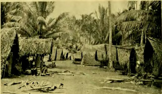 Plate III-Argonauts of the western Pacific 1922 (page 46 crop)