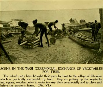 Plate XXXVI - Argonauts of the western Pacific 1922 (page 240 crop)