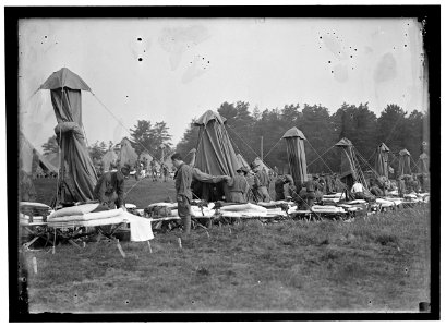 PLATTSBURG RESERVE OFFICERS TRAINING CAMP. PITCHING TENTS LCCN2016866567