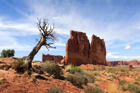 Usa park landscape