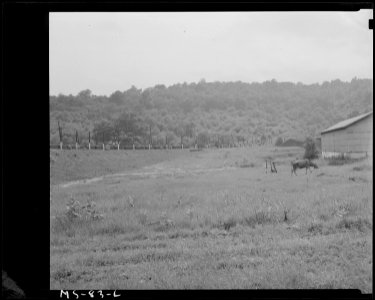 Playground and recreation area for miners. Pittsburgh Coal Company, Westland Mine, Westland, Washington County... - NARA - 540261