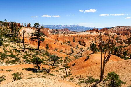Usa park landscape