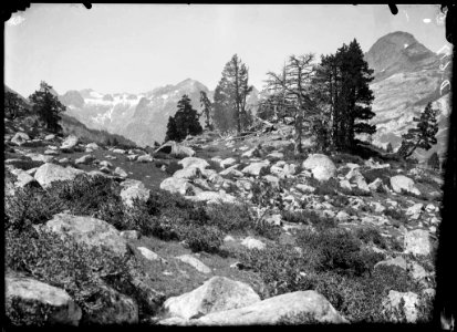 Planura alpina amb arbres i muntanyes al fons a la pleta de la Renclusa