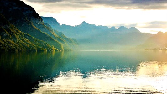 Scattering reflection www