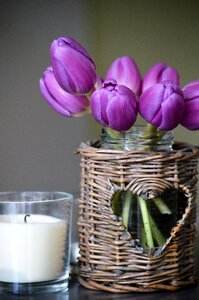 Live décor spring