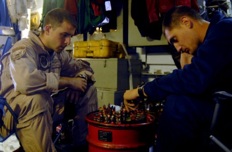 Playing Chess DVIDS182365