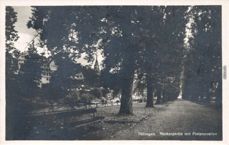 Platanenallee (AK 12.1771 H Sting 1929)