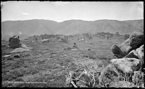 Pleasant Park, ruins and fortifications. Colorado - NARA - 517057