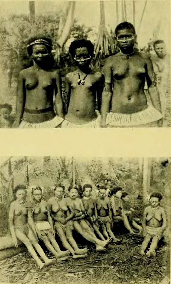 Plate XII - Argonauts of the western Pacific 1922 (page 100 crop)